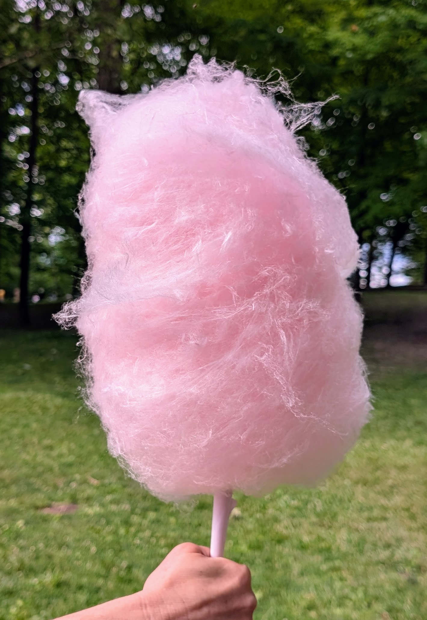 Pink cotton candy served on a stick by Carnival Treats