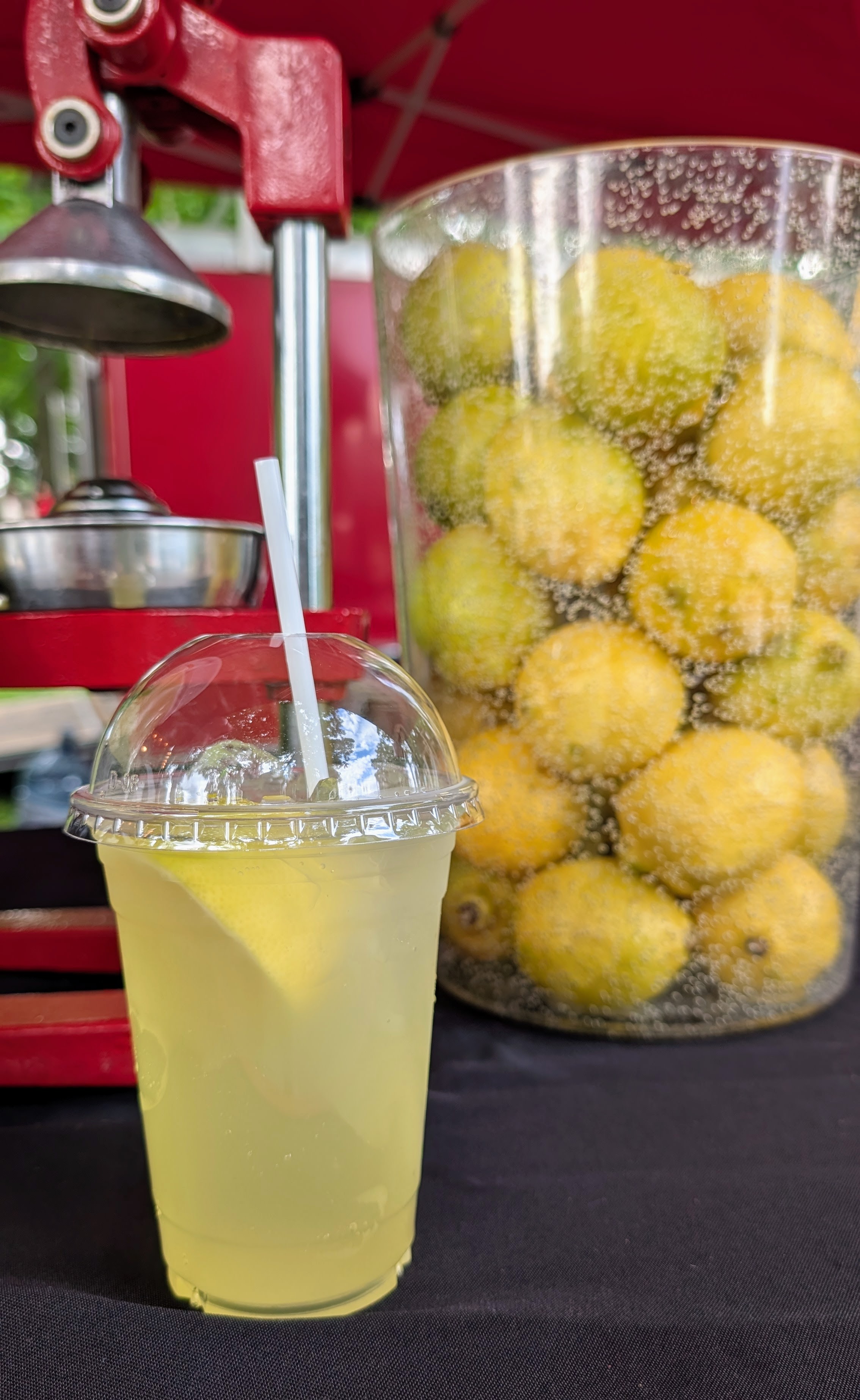 Fresh-squeezed lemonade with lemons and citrus press